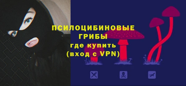 мяу мяу кристалл Арсеньев