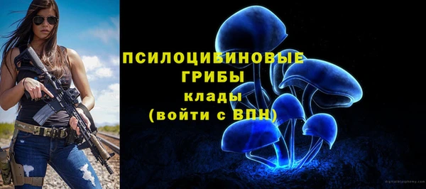 a pvp Армянск